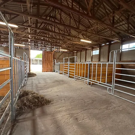 Casa vacanze Eickhof 200qm - Guenter - Bis 8 Personen - Familienfreundlich *